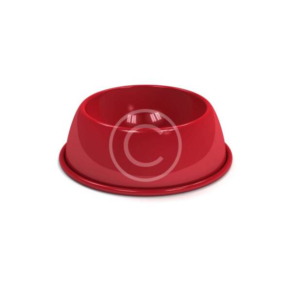 Ceramic Bowl for Cat