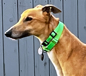 Mac